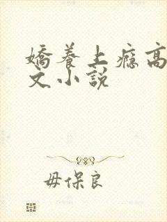 娇养上瘾高H爽文小说