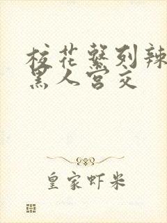 校花系列辣h文黑人宫交