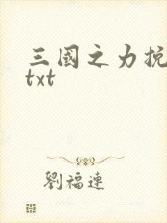 三国之力挽狂澜txt