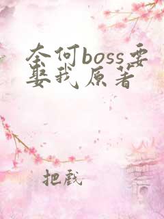 奈何boss要娶我原著
