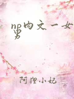 np肉文一女多男