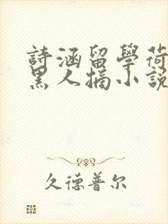 诗涵留学荷兰被黑人摘小说