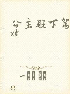 公主殿下驾到txt