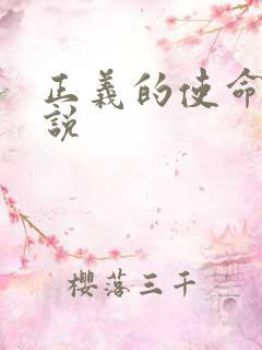 正义的使命 小说