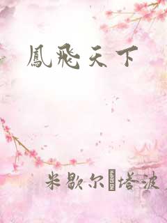 凤飞天下