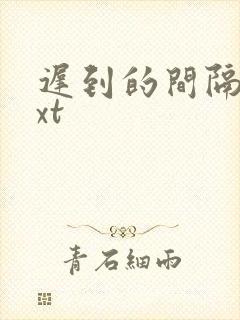 迟到的间隔年txt