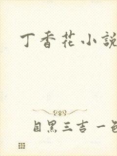 丁香花小说