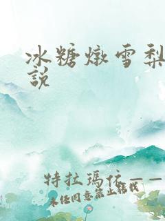 冰糖炖雪梨 小说