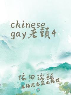 chinesegay老头4