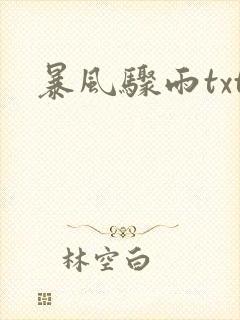 暴风骤雨txt