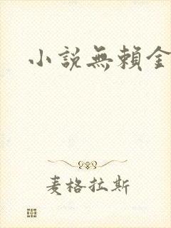 小说无赖金仙