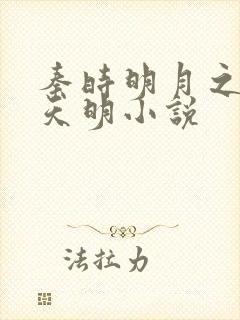 秦时明月之夜尽天明小说