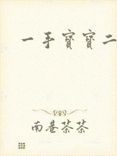 一手宝宝二手妻