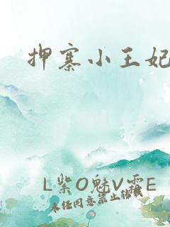 押寨小王妃