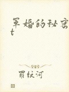 军婚的秘密txt