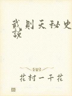 武则天秘史 小说