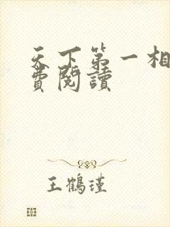 天下第一相书免费阅读