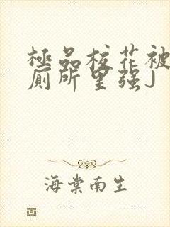 极品校花被拉到厕所里强J