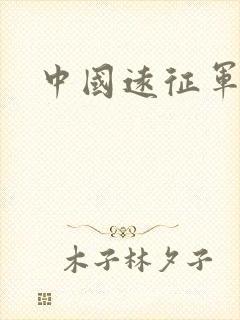 中国远征军下载