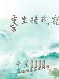 重生后我宠冠东宫