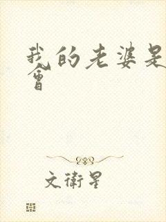 我的老婆是黑社会