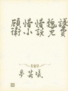 顾惜惜魏谦锦衣卫小说免费阅读