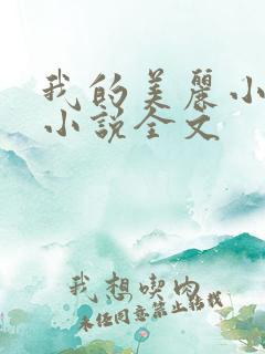 我的美丽小后妈小说全文
