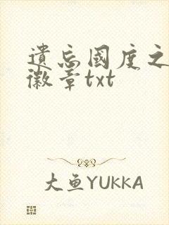 遗忘国度之神秘徽章txt