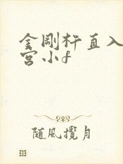 金刚杵直入莲花宫小f