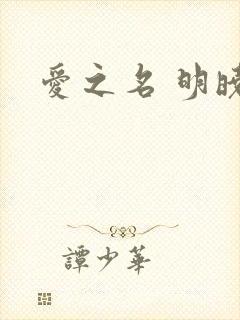爱之名 明晓溪