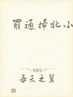 罗通扫北小说