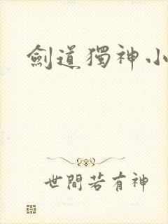 剑道独神小说