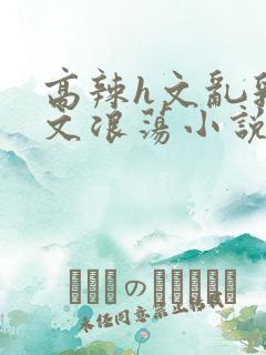 高辣h文乱乳h文浪荡小说