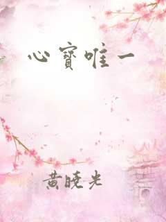 心宝唯一