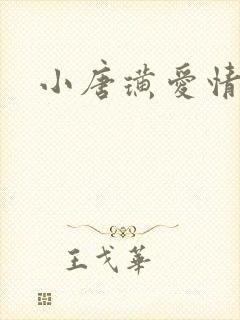 小唐璜爱情历史