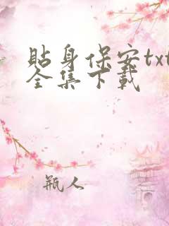贴身保安txt全集下载