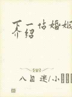 下一站婚姻剧情介绍