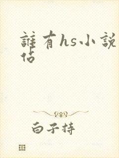 谁有hs小说网站