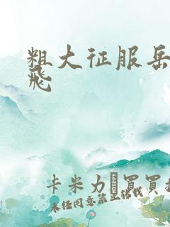 粗大征服岳女双飞