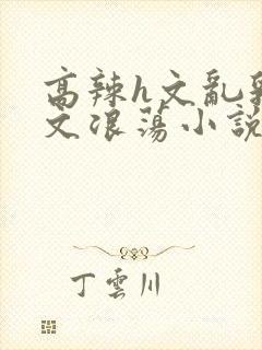 高辣h文乱乳h文浪荡小说苏媚