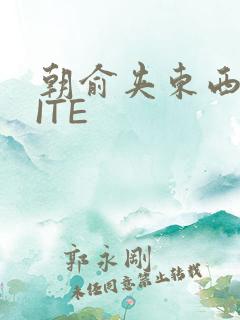 朝俞夹东西WRITE