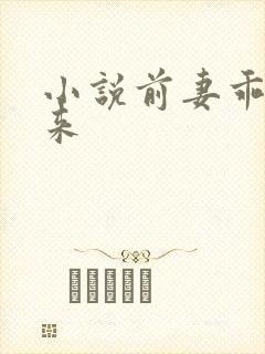 小说前妻乖乖回来