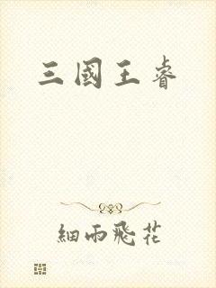 三国王睿