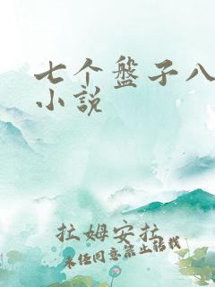 七个盘子八个碗小说