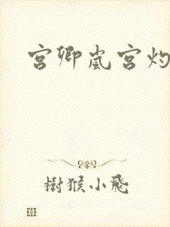 宫卿岚宫灼小说