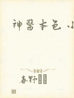神医本色 小说