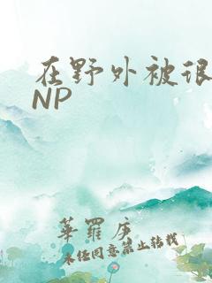 在野外被很多人NP