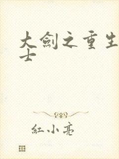 大剑之重生圣骑士