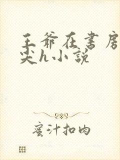 王爷在书房含乳尖h小说