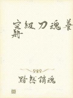 究级刀魂养成手册